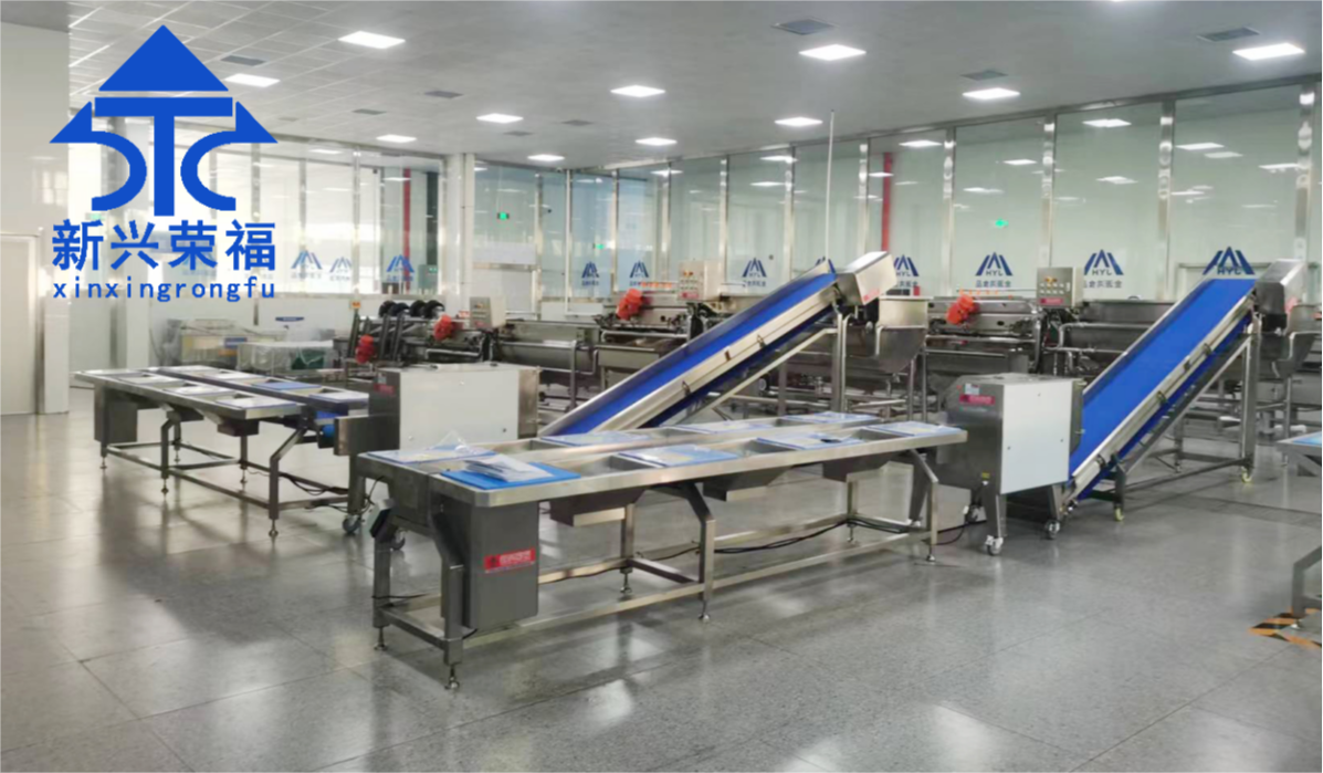 日供蔬菜20噸，新興榮福承建凈菜加工項目完成驗收